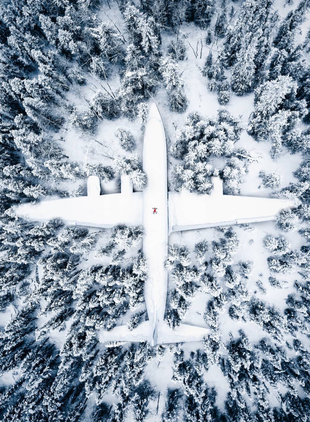 993x1350, 592 Kb / лес, снег, зима, самолет, человек, сверху