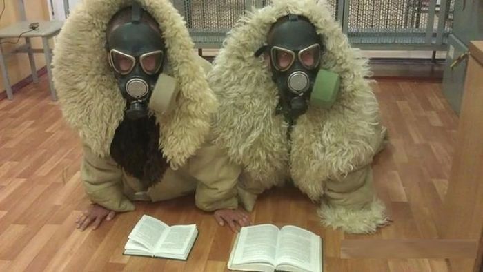 700x395, 43 Kb / тулупы, книги, библиотека, противогазы