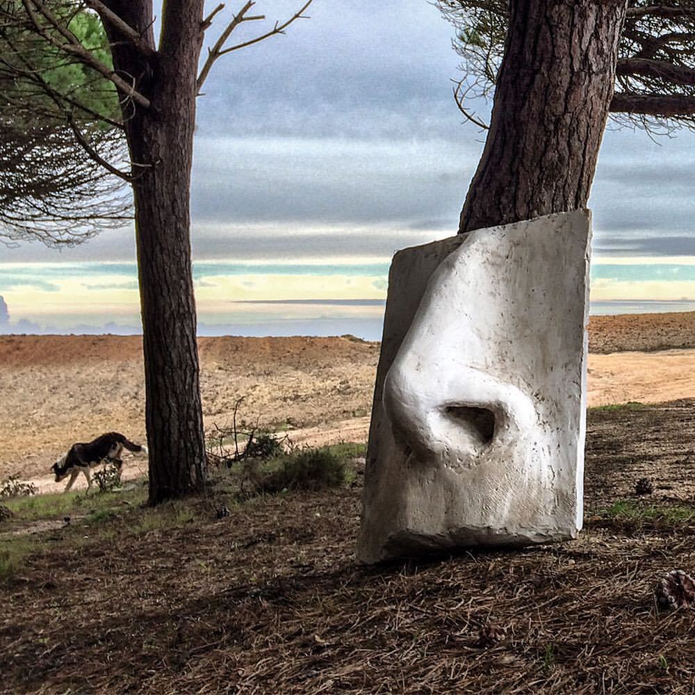 1000x1000, 174 Kb / нос, деревья, собака