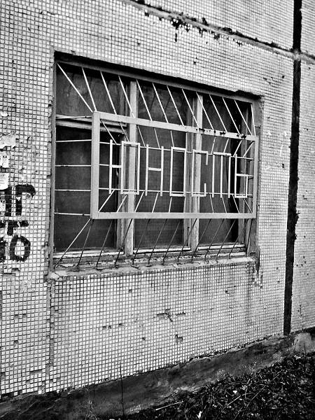 450x600, 81 Kb / решётка, юность