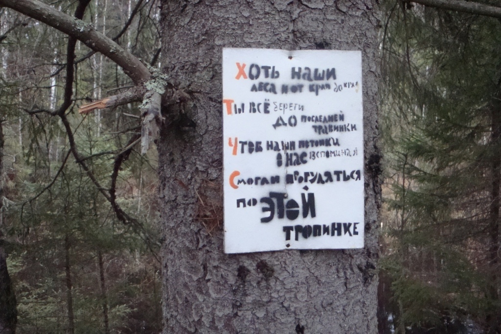 1024x682, 329 Kb / Наши леса, береги, тропинка, потомки