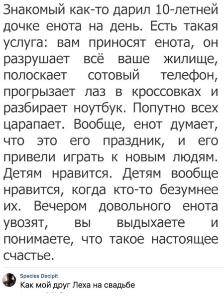 450x598, 75 Kb / енот, разрушитель, свадьба, друг