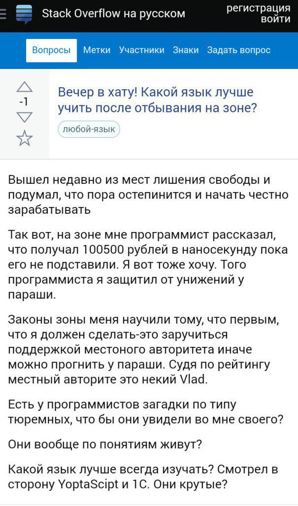 605x1027, 108 Kb / программист, зона, язык, понятия