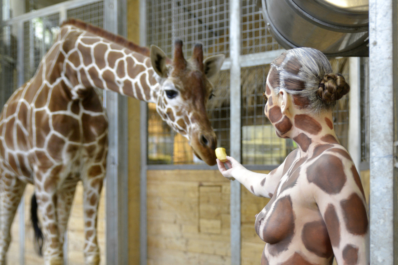 1280x853, 310 Kb / жираф, бодиарт