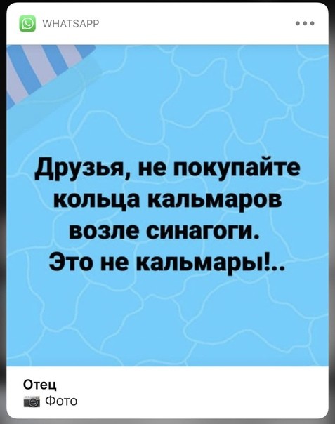 477x604, 44 Kb / кольца кальмара, синагога