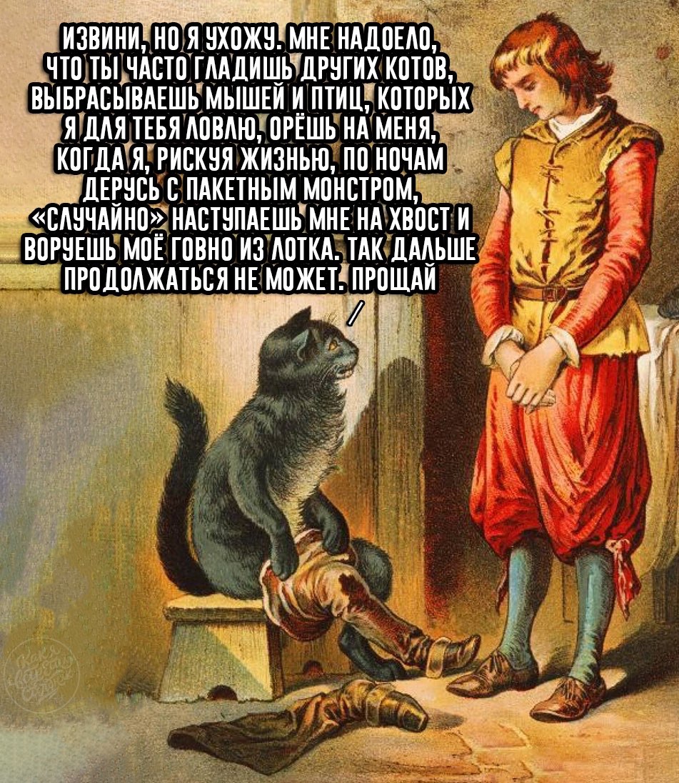 951x1096, 319 Kb / кот, сапоги