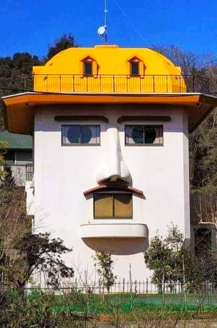 712x1072, 159 Kb / дом, здание, рожица