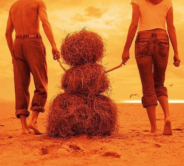 600x542, 87 Kb / травовник, сеновик