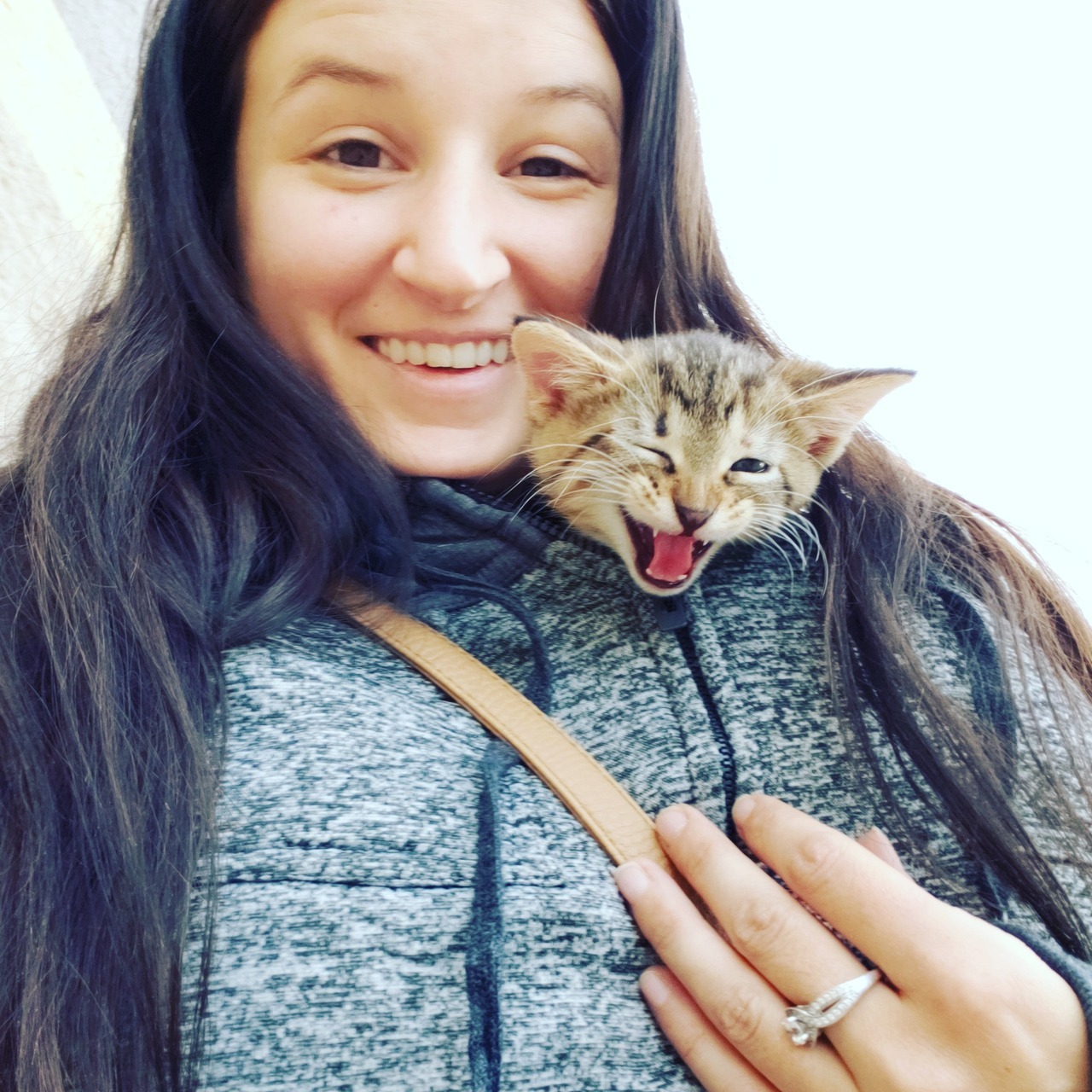 1280x1280, 401 Kb / брюнетка, котенок, сумка, куртка, выглядывает, кольцо