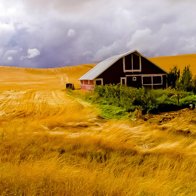 639x639, 235 Kb / поле, дом, желтый