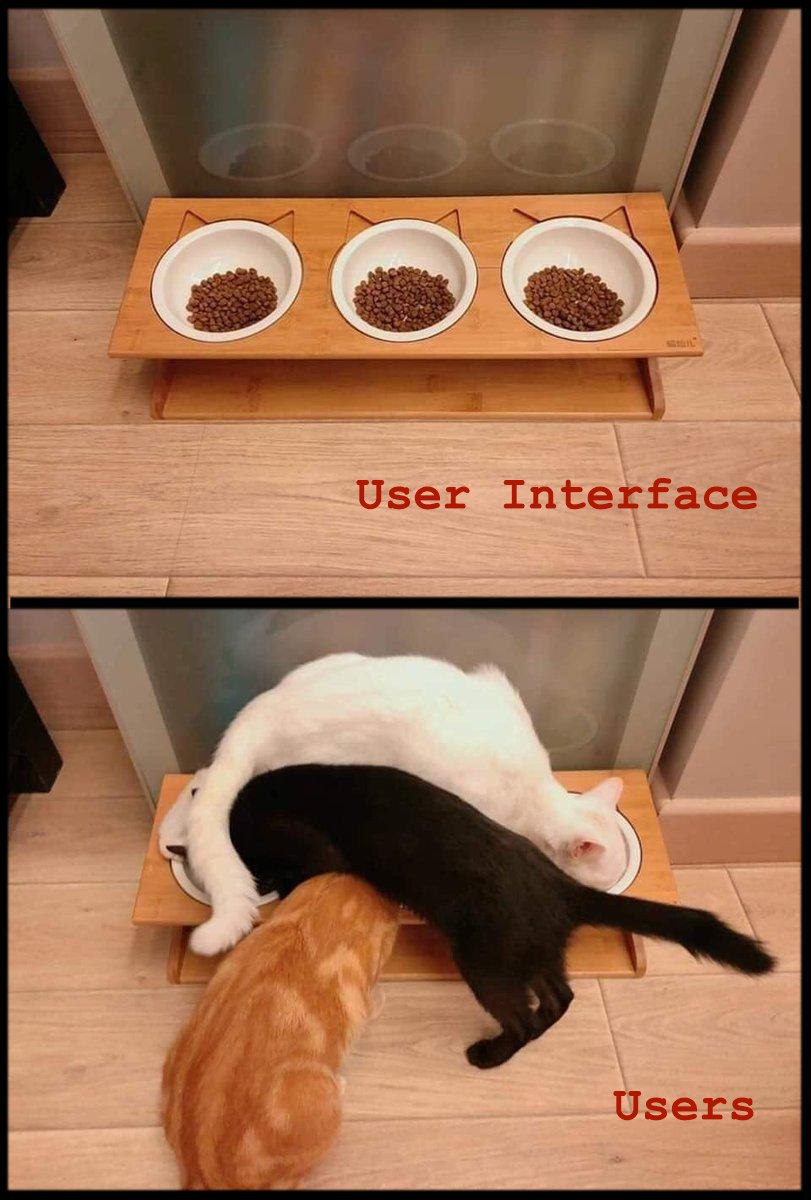 811x1200, 134 Kb / Кормушка, кошки