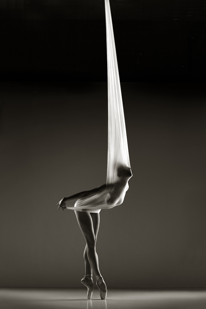 667x1000, 223 Kb / балерина, пуанты, ткань, ч/б