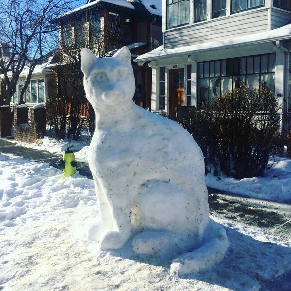 600x600, 122 Kb / Кот, кошка, снеговик