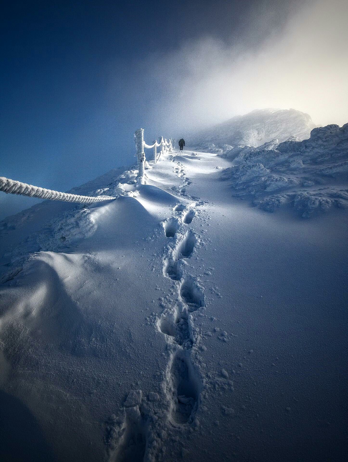 1446x1920, 637 Kb / цепь, следы, зима, снег, горы