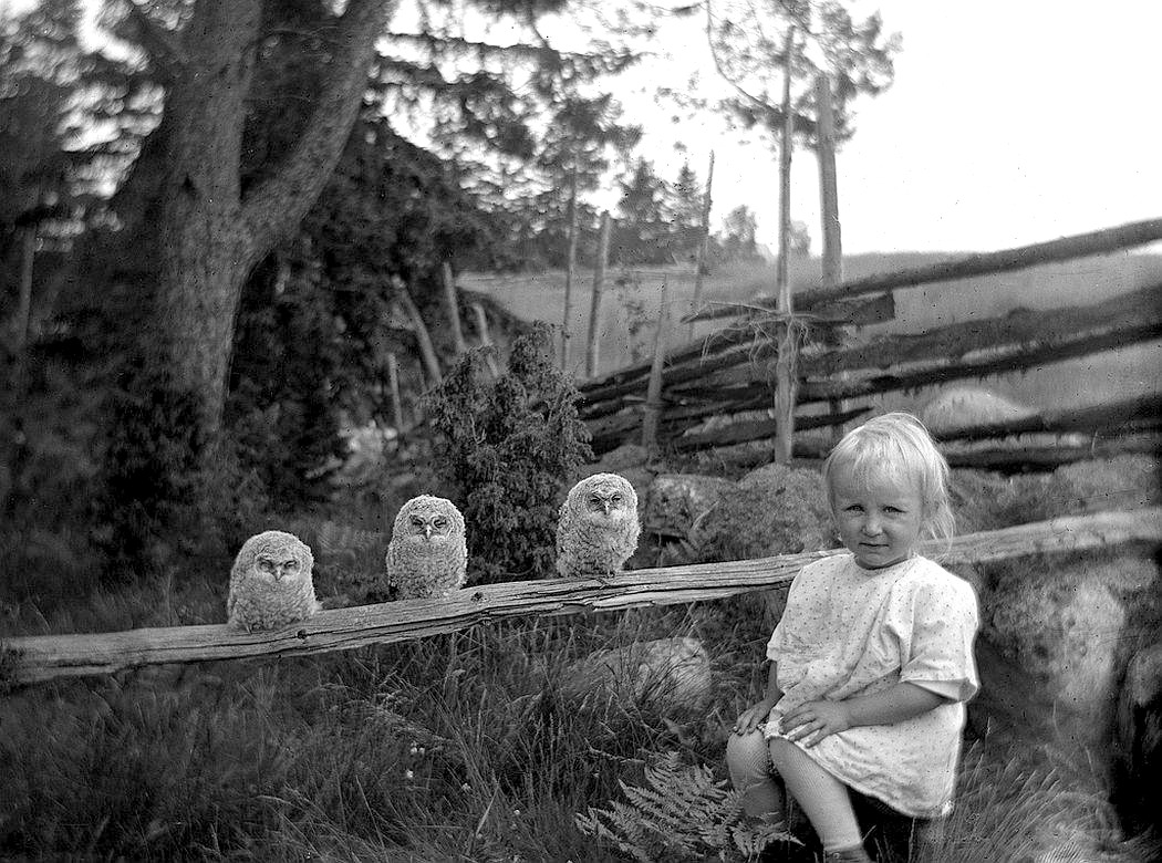 1050x780, 234 Kb / Совы, девочка, ч/б