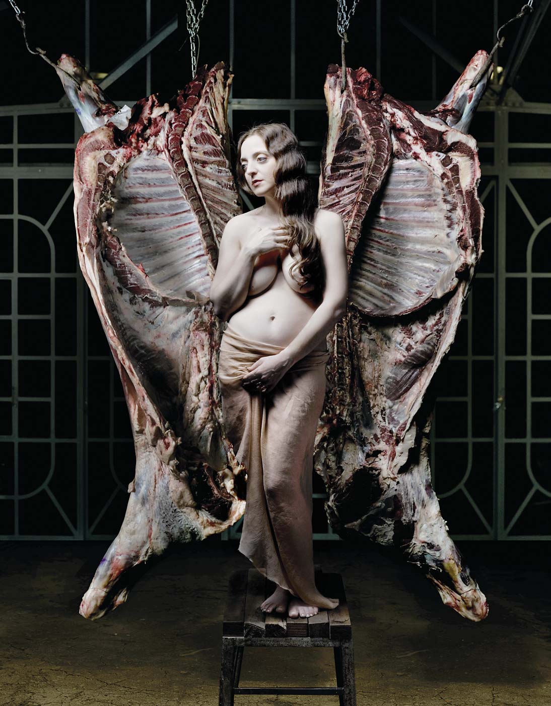 1094x1400, 253 Kb / туша, венера