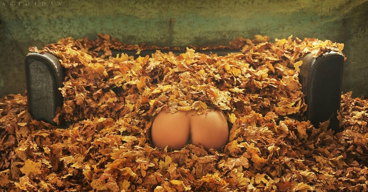 1200x628, 375 Kb / листва, диван, жопа