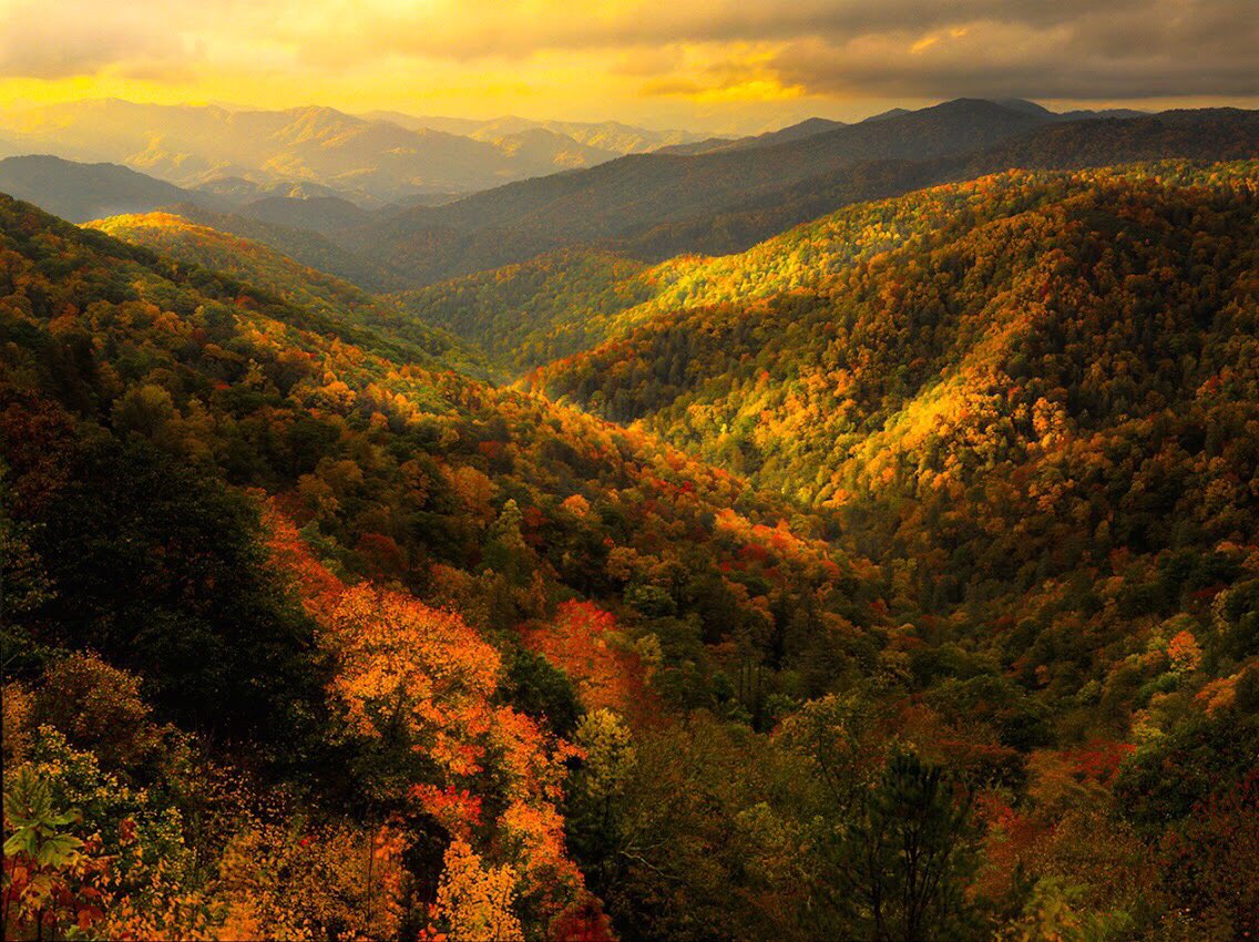 1136x850, 234 Kb / холмы, горы, леса, национальный парк, даль