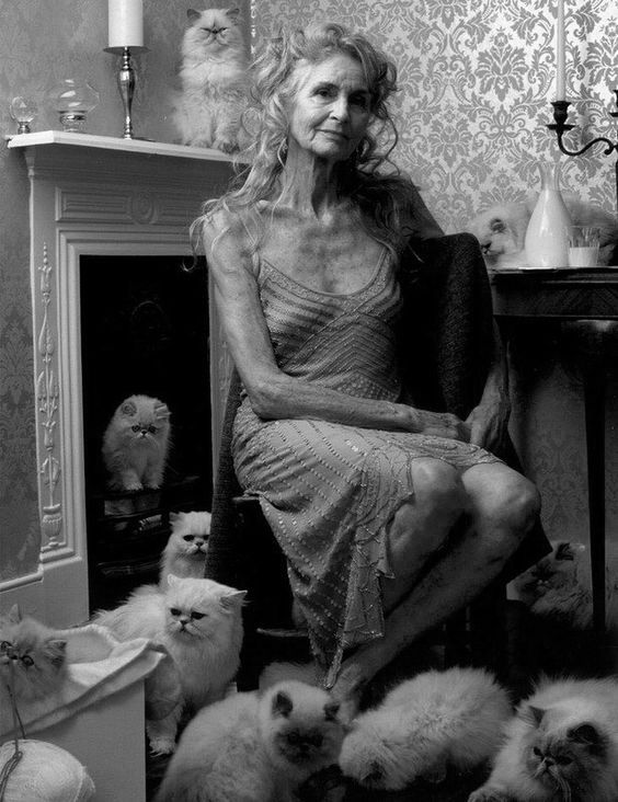 564x732, 73 Kb / камин, кошки, свеча, подсвечник, сильная, независимая, женщина, ч/б