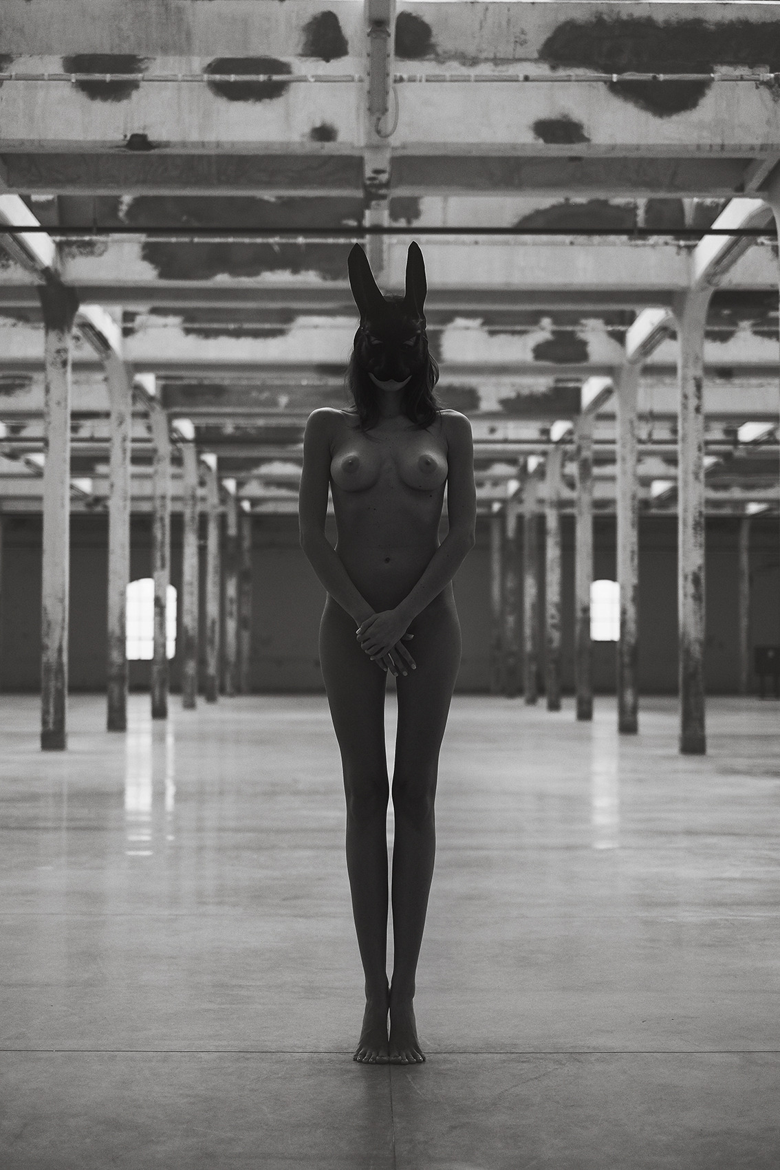 1134x1701, 468 Kb / ч/б, заяц, кролик, маска, склад