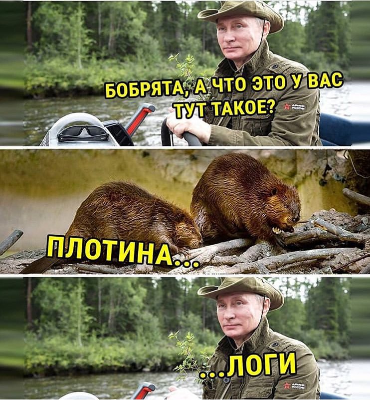 742x805, 141 Kb / плотина, налоги, бобры, путин