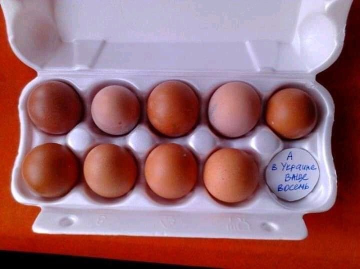 720x539, 37 Kb / Яйца, десяток, Украина, политота