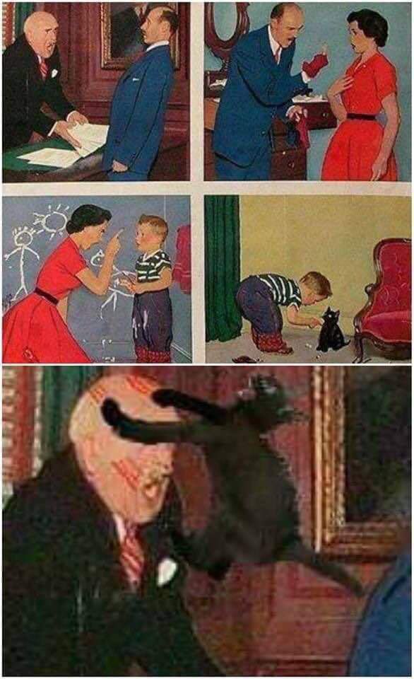 586x960, 75 Kb / кот, круговорот, бидструп, комикс