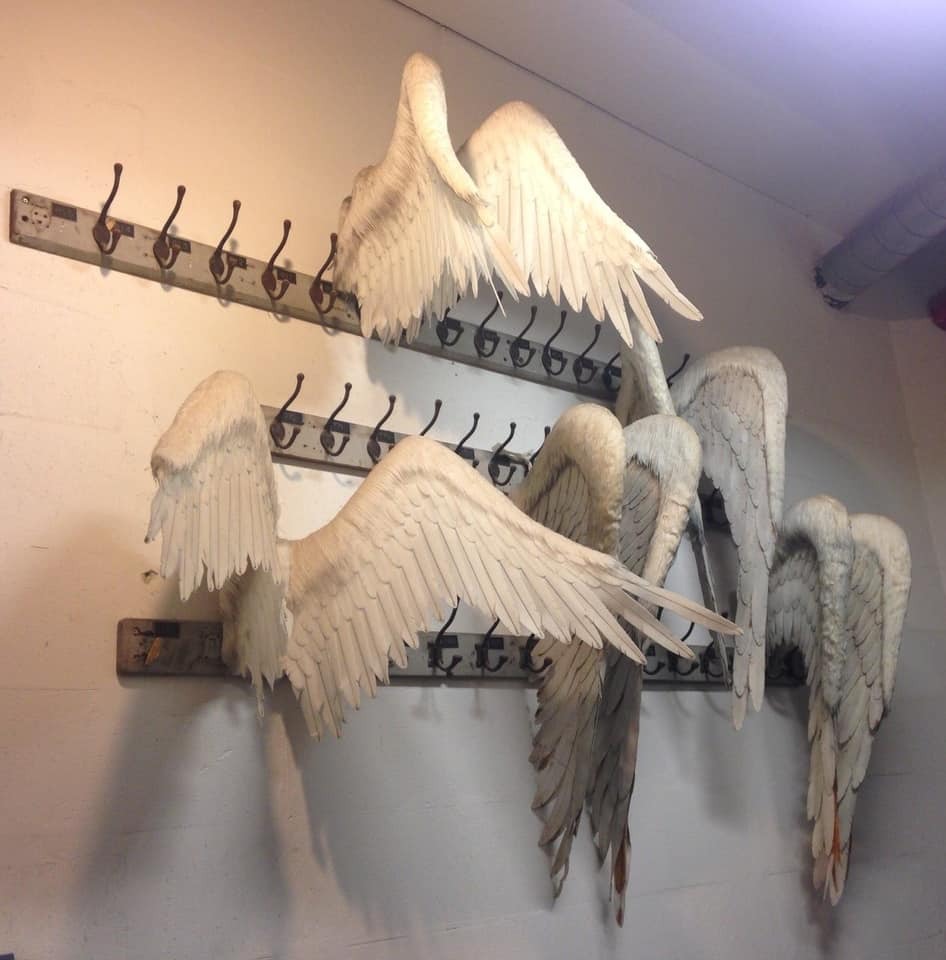 946x960, 83 Kb / вешалка, крылья