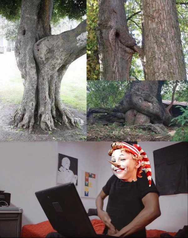 600x757, 101 Kb / Деревья, Буратино