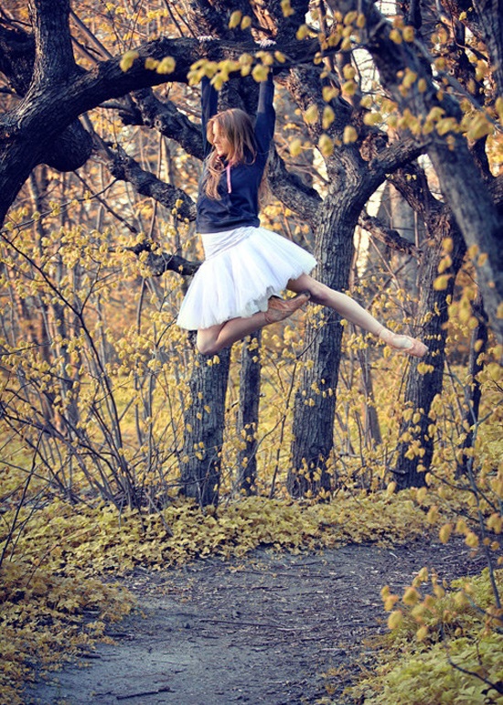 550x771, 280 Kb / балерина, висит, дерево, ветка, осень, пачка, пуанты
