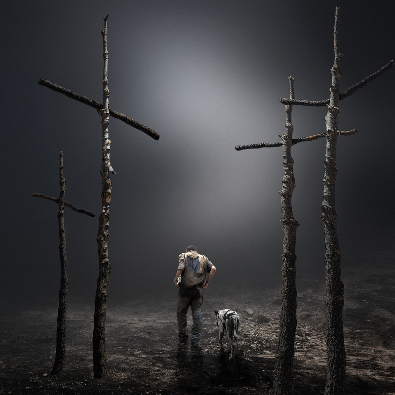 800x800, 497 Kb / мужчина, собака, кресты, грязь, туман