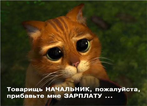470x338, 25 Kb / кот, глаза, зарплата, шрек