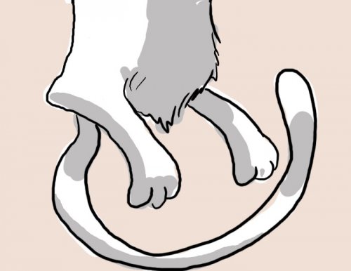 500x386, 23 Kb / трилогия кошки