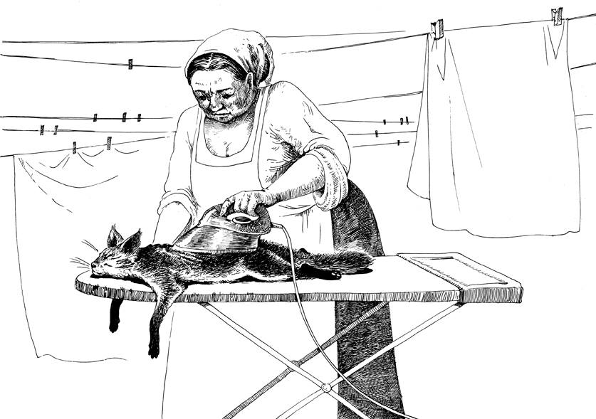 837x589, 66 Kb / кот, доска, глажка, Кацярына Марціновіч