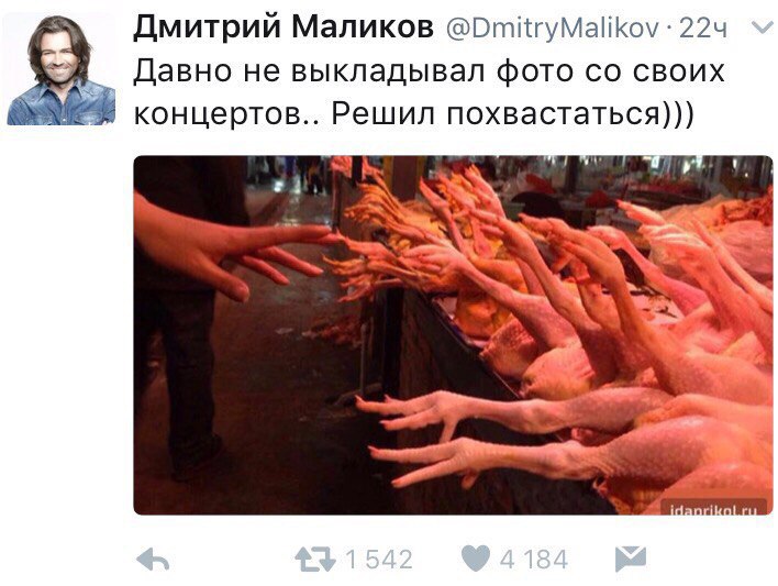 708x533, 76 Kb / Маликов, концерт, лапы, курицы, показалось