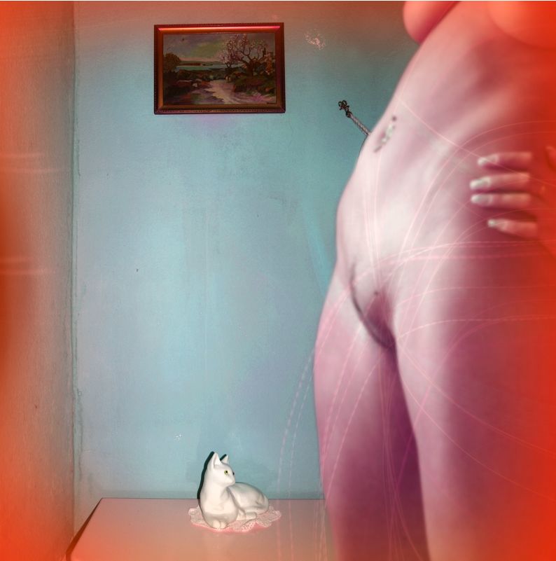 794x801, 53 Kb / девка, лобок, картина, кошка