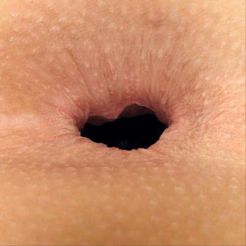 500x500, 219 Kb / анус, котенок, гифка