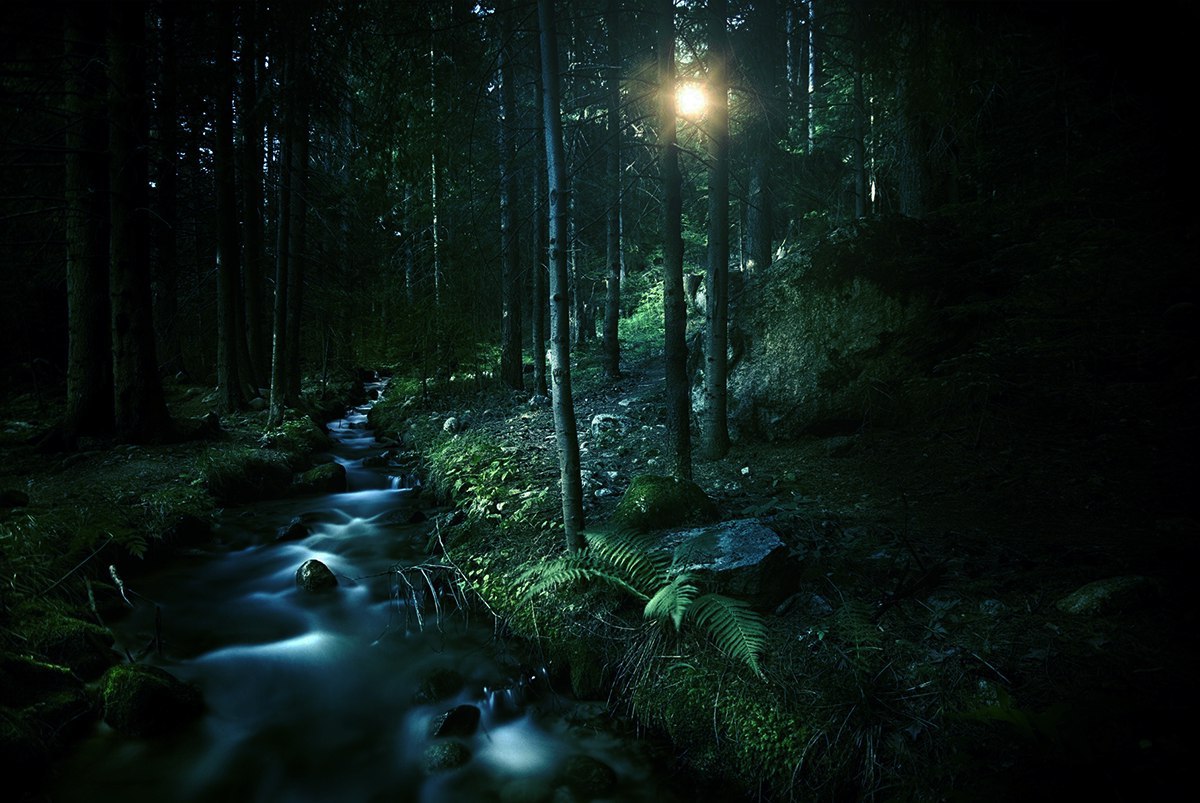 1200x803, 186 Kb / ручей, лес, деревья