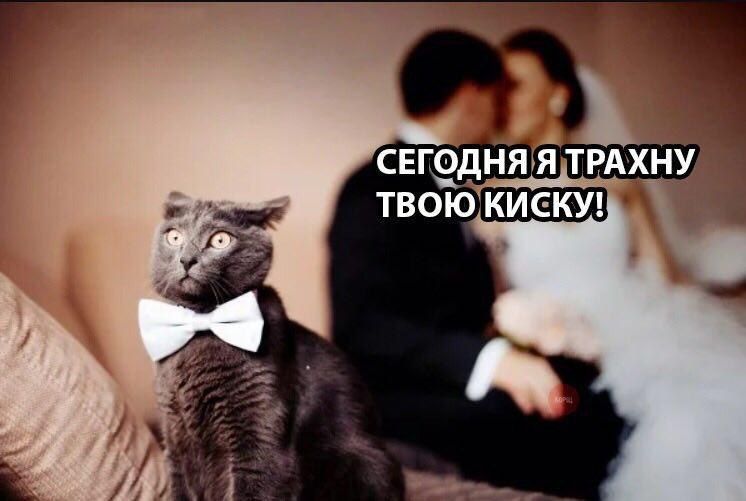 746x501, 42 Kb / киска, трахну, бабочка