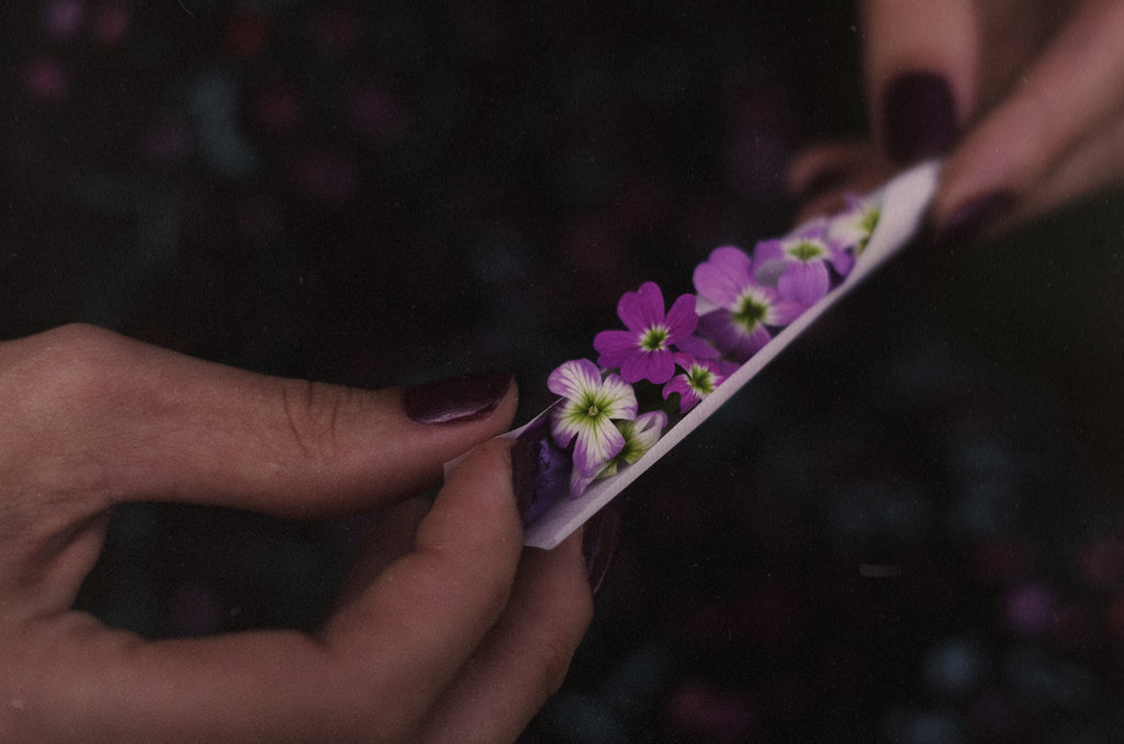 1024x678, 84 Kb / руки, самокрутка, косяк, цветы