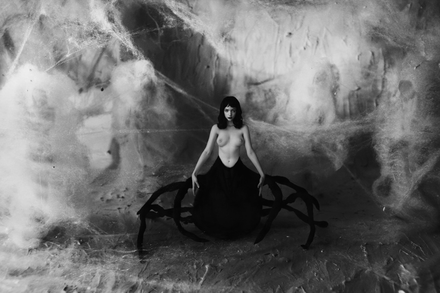 900x600, 206 Kb / женщина, паук, Арахна, ч/б