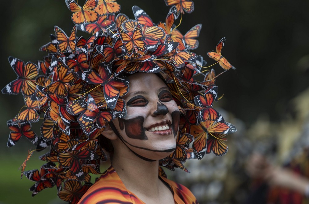 1000x660, 157 Kb / бабочки, венок