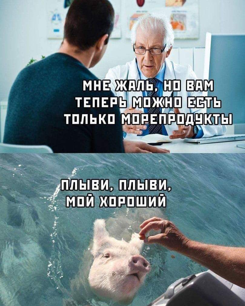 809x1011, 98 Kb / свинья, морепродукты, диета