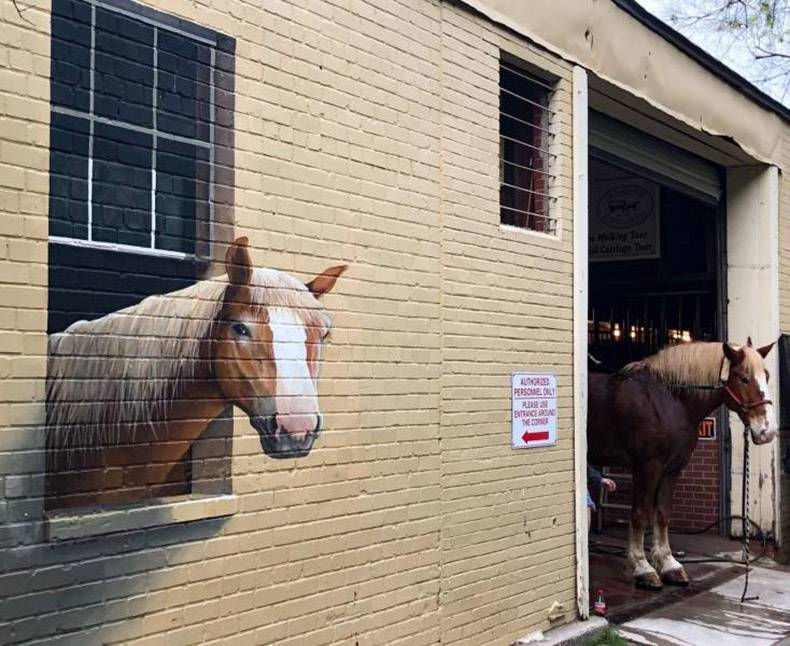 790x646, 87 Kb / лошади, конюшня, граффити