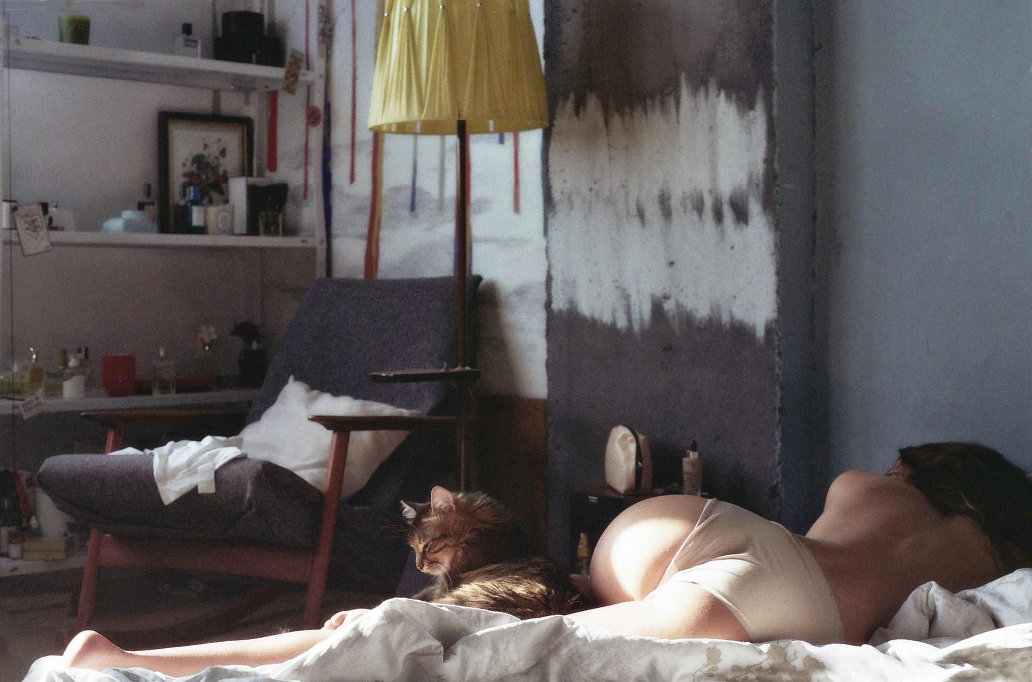 2048x1353, 394 Kb / попа, кошка, кресло, лампа, брюнетка, лежит