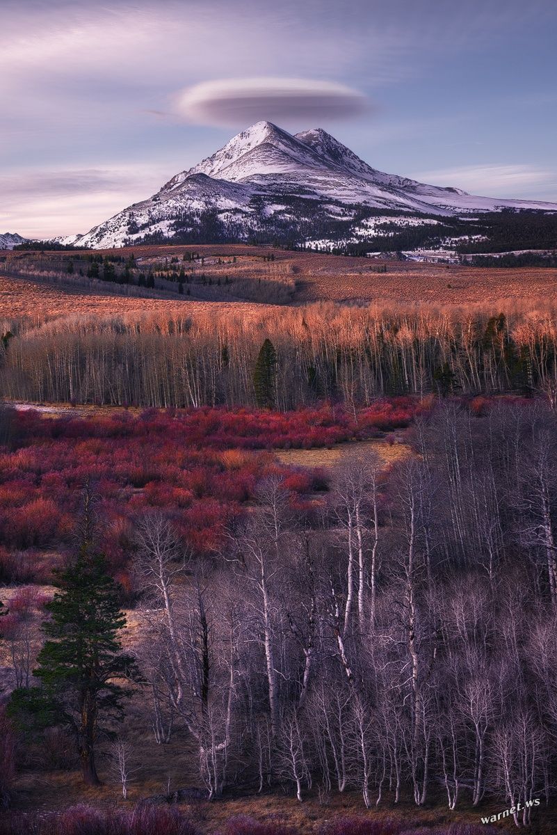 801x1200, 223 Kb / гора, облако, осень, деревья, небо