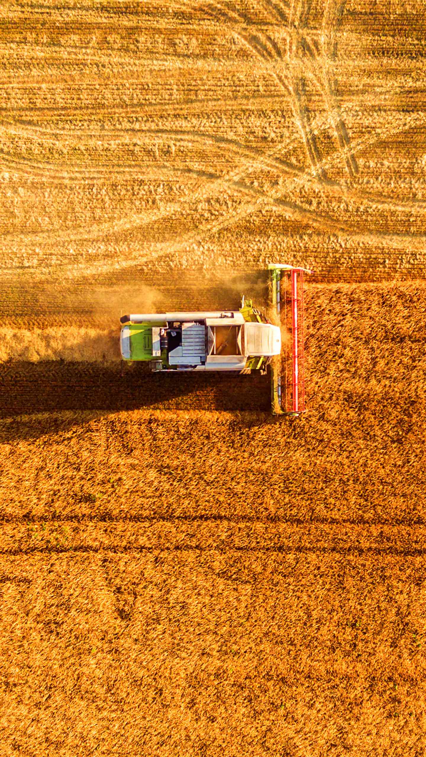 1440x2560, 497 Kb / поле, комбайн