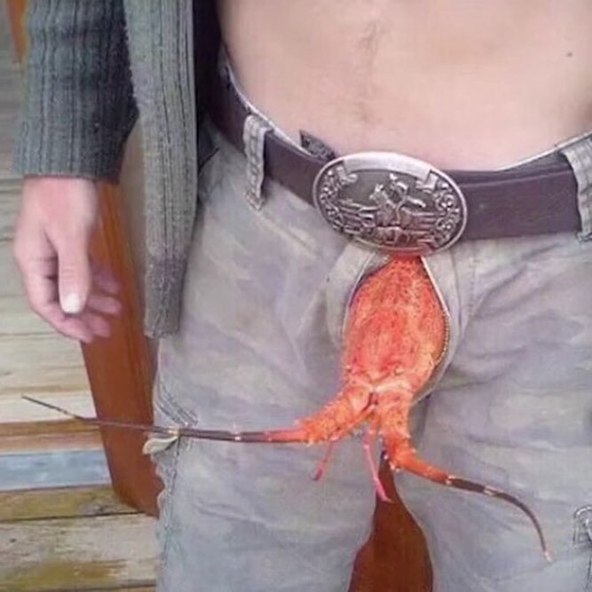 667x667, 56 Kb / Рак