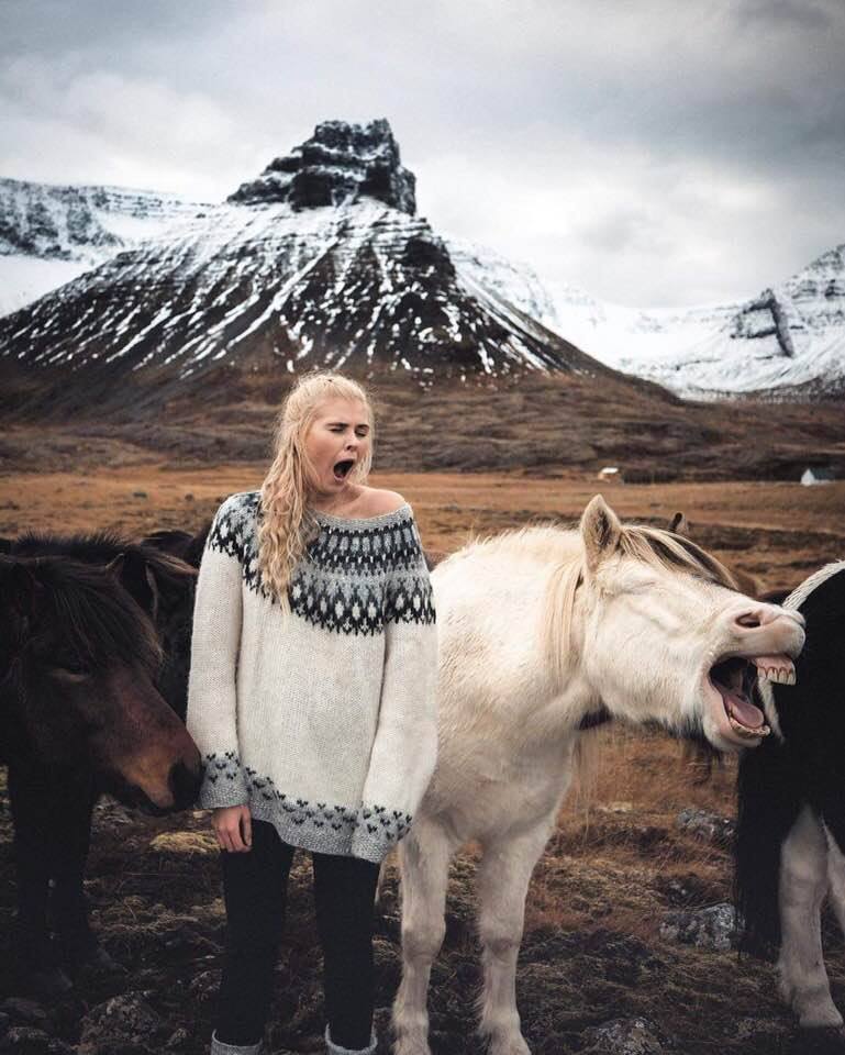 769x960, 89 Kb / девка, лошадь, зевок, блондинки