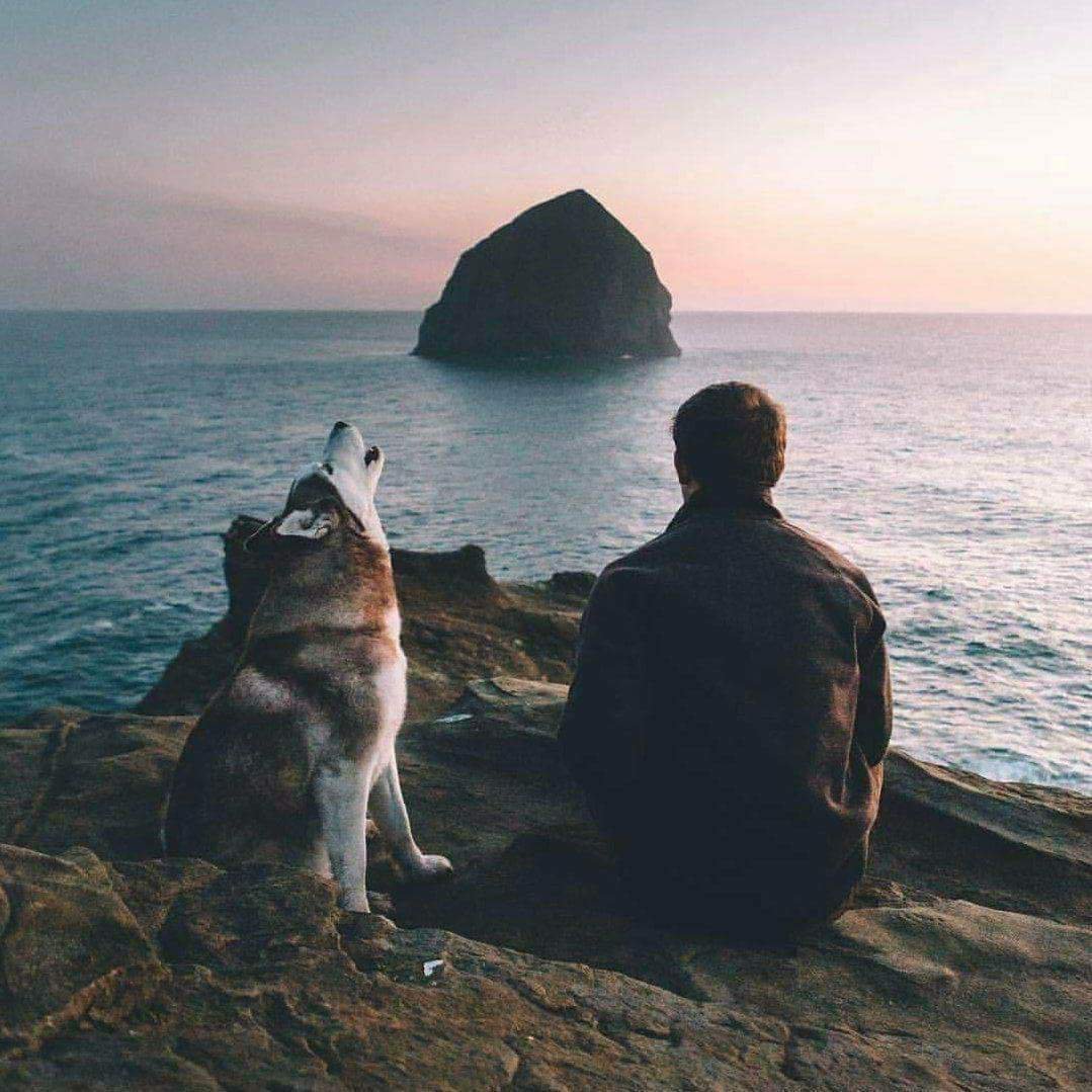 1079x1079, 141 Kb / мужчина, собака, воды, скала, глыба